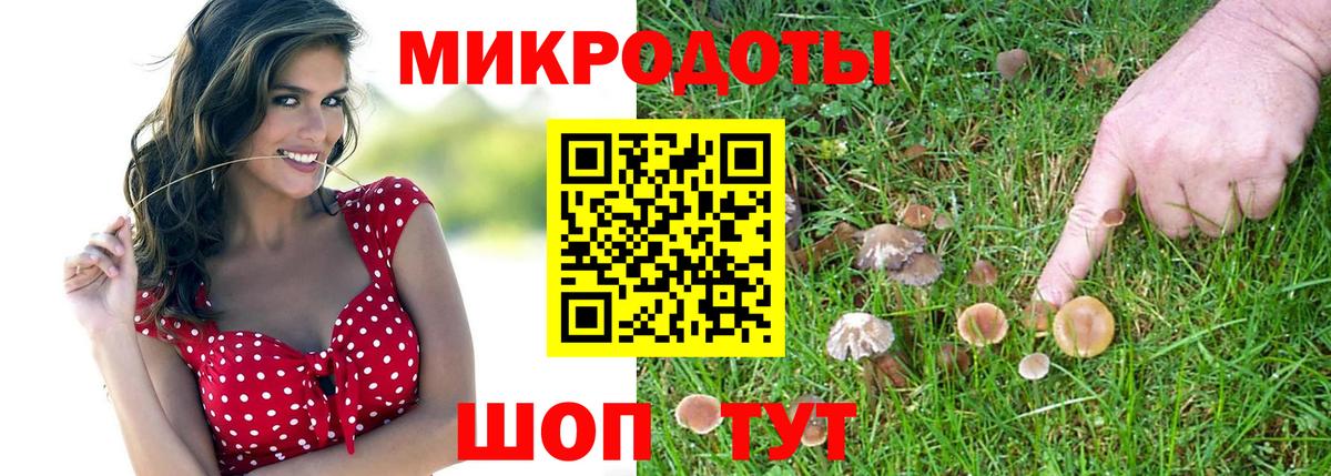 Псилоцибиновые грибы Magic Shrooms Ессентуки