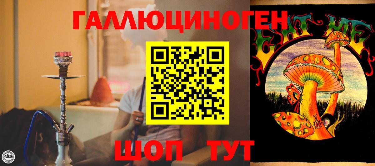 как найти закладки  Галлюциногенные грибы GOLDEN TEACHER  Вход с VPN  Ессентуки 